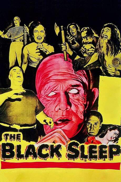 The Black Sleep